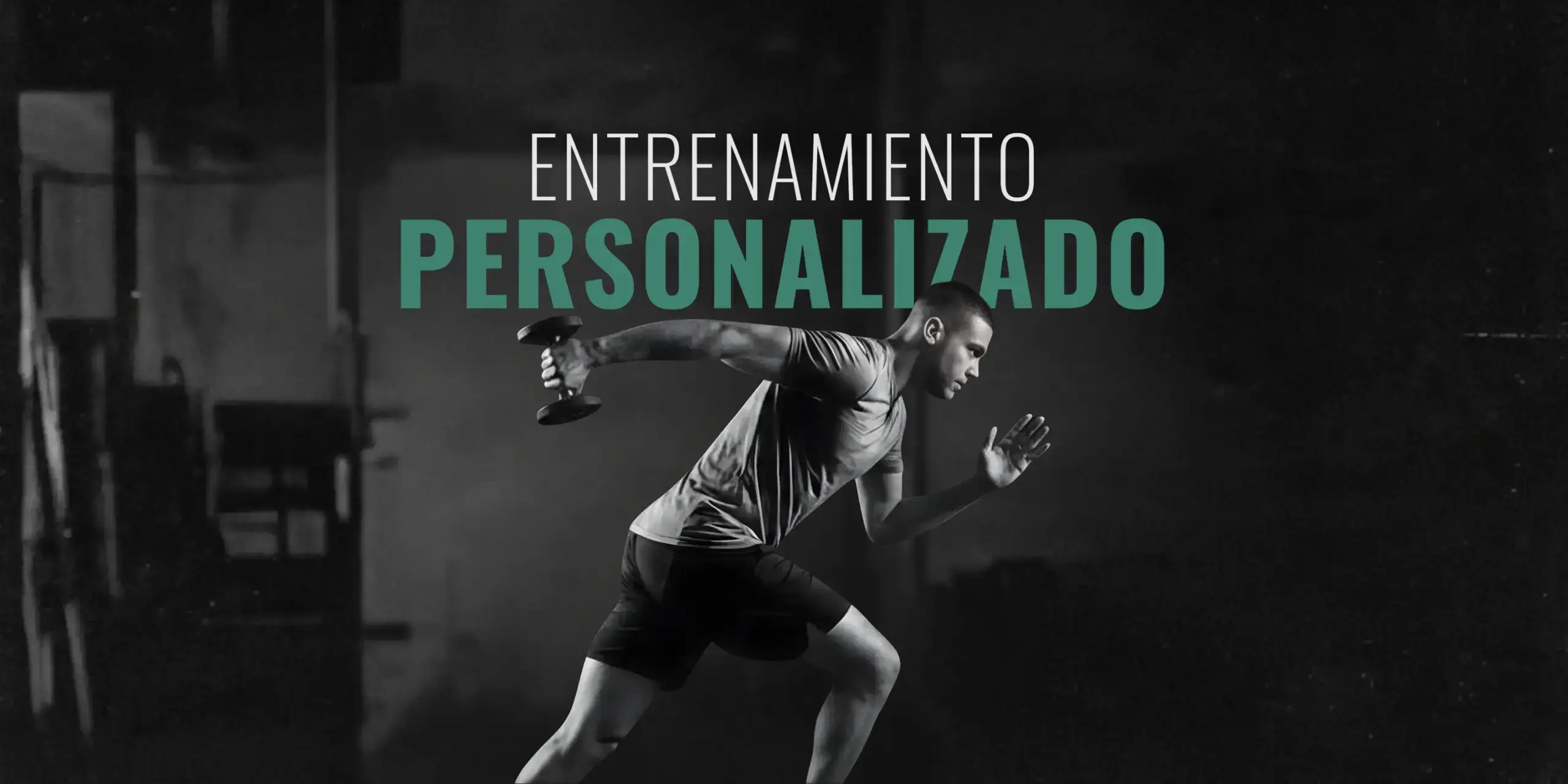 Entrenamiento personalizado