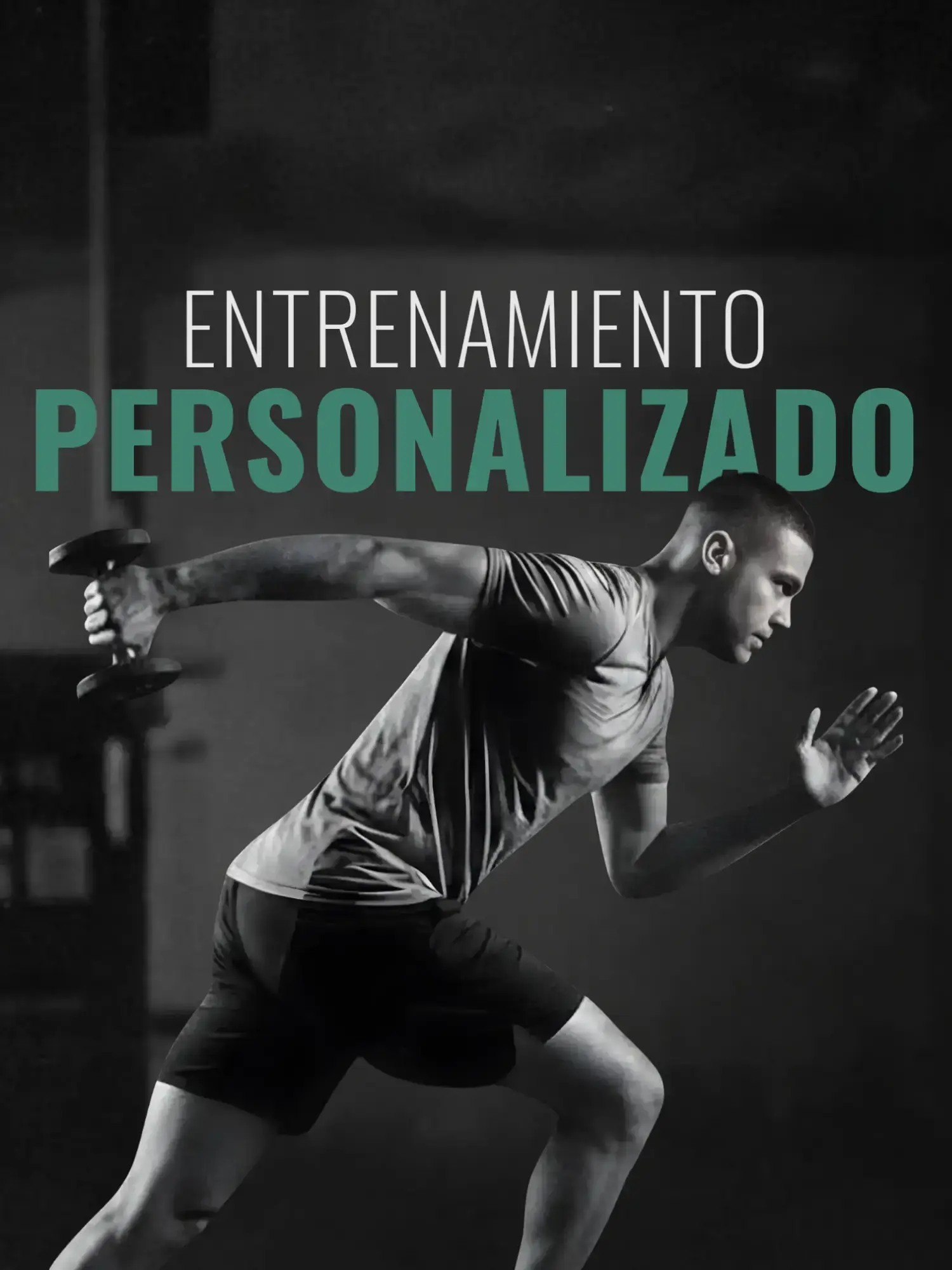Entrenamiento personalizado